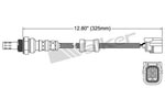 250-24917 Catalytic Converters Detail