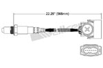 250-25010 Catalytic Converters Detail